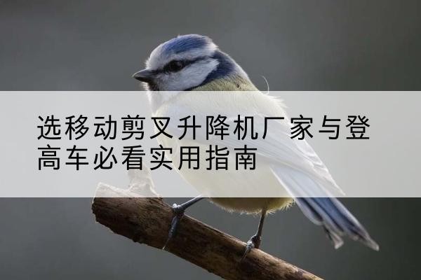 驻马店电动升降机厂家-选移动剪叉升降机厂家与登高车必看实用指南