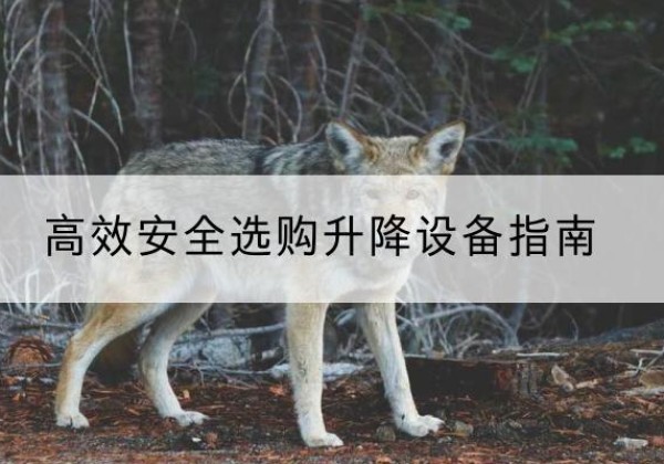 驻马店升降货梯厂家推荐-*安全选购升降设备指南